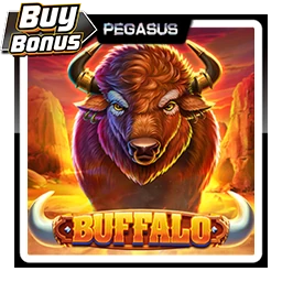 Buffalo