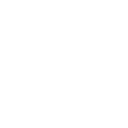 5G